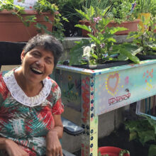 Older hispanic female NJEDDA Adult Program participant working in an outdoor garden at the agency's Clifton NJ facility